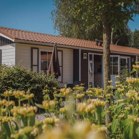 De Boshoek 3*