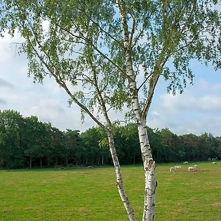 De Boshoek Voorthuizen