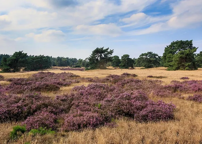 De Boshoek 3* Voorthuizen