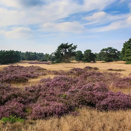 De Boshoek 3* Voorthuizen